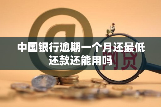 中国银行逾期一个月还最低还款还能用吗