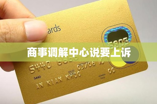 商事调解中心说要上诉