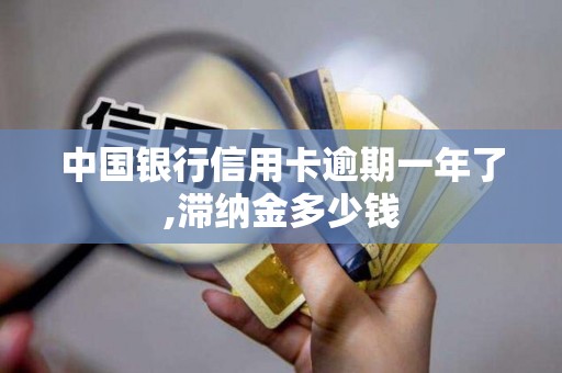 中国银行信用卡逾期一年了,滞纳金多少钱 中国银行信用卡逾期一年了,滞纳金多少钱