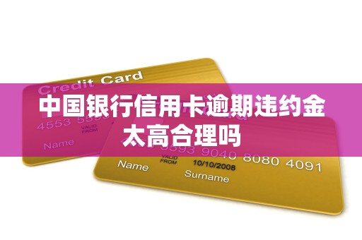 中国银行信用卡逾期违约金太高合理吗