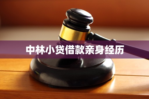 中林小贷借款亲身经历 中林小贷借款亲身经历