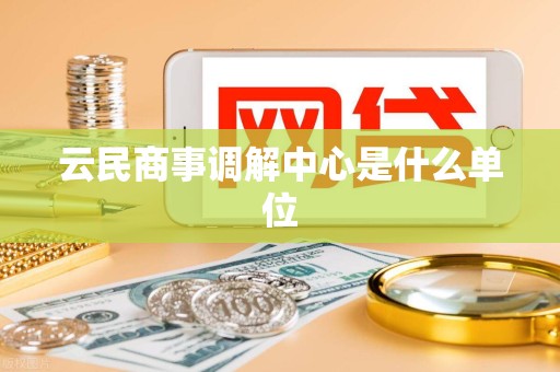 云民商事调解中心是什么单位