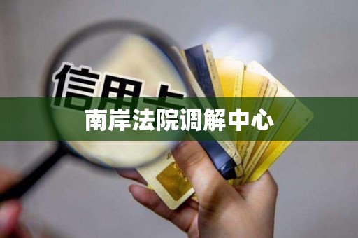 南岸法院调解中心 南岸法院调解中心