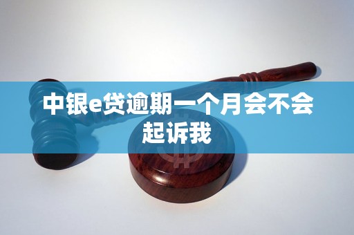 中银e贷逾期一个月会不会起诉我