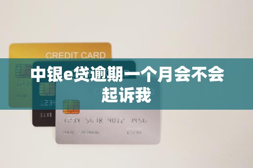 中银e贷逾期一个月会不会起诉我