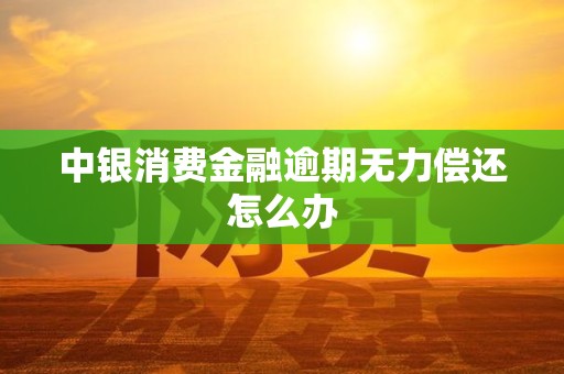 中银消费金融逾期无力偿还怎么办