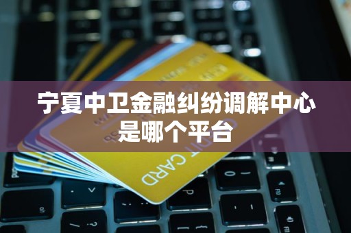 宁夏中卫金融纠纷调解中心是哪个平台