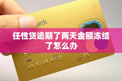 任性贷逾期了两天金额冻结了怎么办