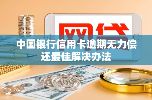 中国银行信用卡逾期无力偿还最佳解决办法