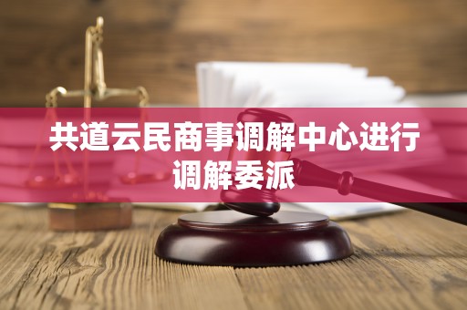 共道云民商事调解中心进行调解委派