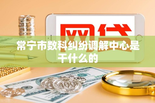 常宁市数科纠纷调解中心是干什么的