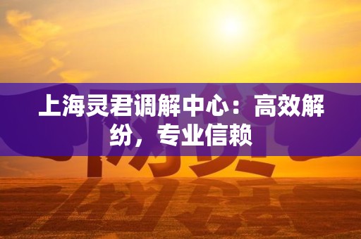 上海灵君调解中心：高效解纷，专业信赖