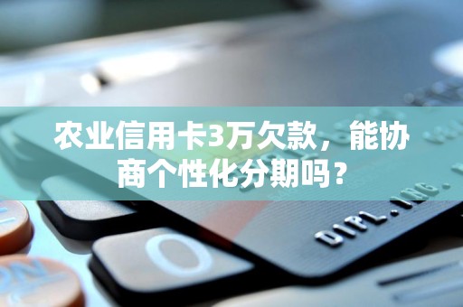 农业信用卡3万欠款，能协商个性化分期吗？