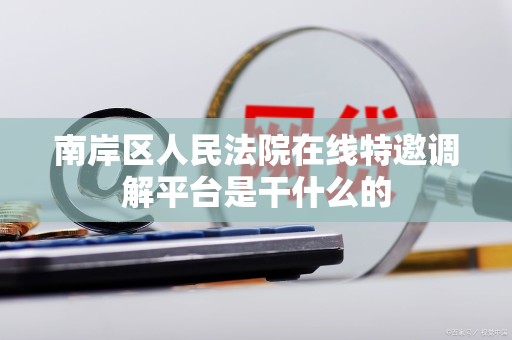 南岸区人民法院在线特邀调解平台是干什么的