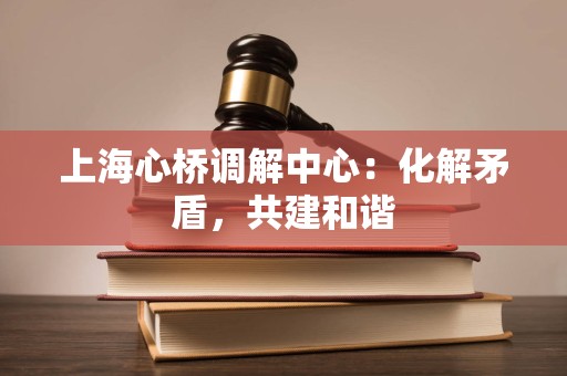 上海心桥调解中心：化解矛盾，共建和谐