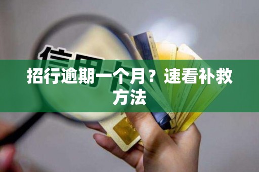 招行逾期一个月？速看补救方法