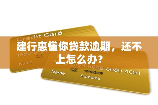 建行惠懂你贷款逾期，还不上怎么办？