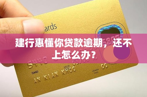 建行惠懂你贷款逾期，还不上怎么办？