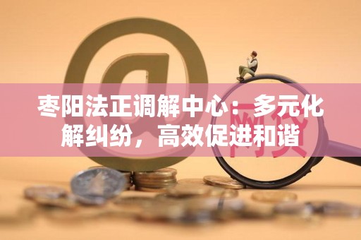 枣阳法正调解中心：多元化解纠纷，高效促进和谐