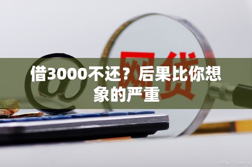 借3000不还？后果比你想象的严重