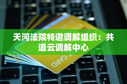 天河法院特邀调解组织：共道云调解中心