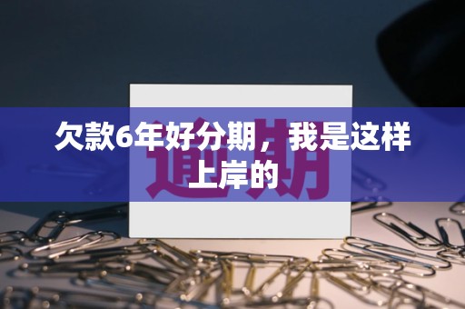 欠款6年好分期，我是这样上岸的