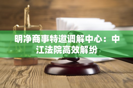 明净商事特邀调解中心：中江法院高效解纷