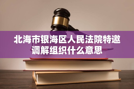 北海市银海区人民法院特邀调解组织什么意思 北海市银海区人民法院特邀调解组织什么意思