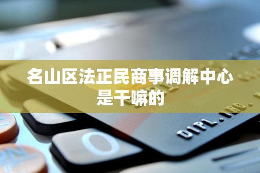 名山区法正民商事调解中心是干嘛的