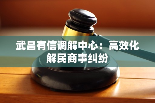 武昌有信调解中心：高效化解民商事纠纷