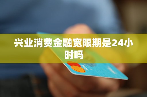 兴业消费金融宽限期是24小时吗