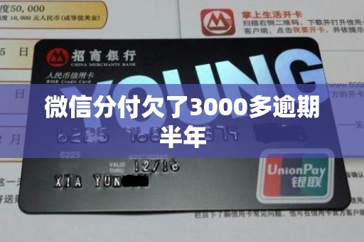微信分付欠了3000多逾期半年