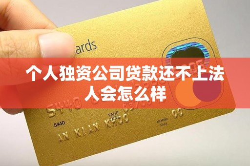 个人独资公司贷款还不上法人会怎么样