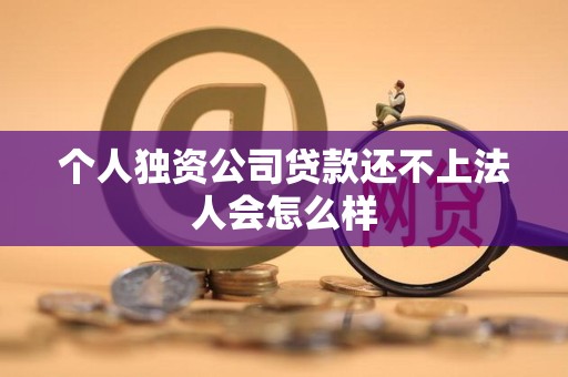 个人独资公司贷款还不上法人会怎么样