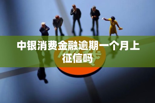 中银消费金融逾期一个月上征信吗