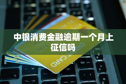 中银消费金融逾期一个月上征信吗