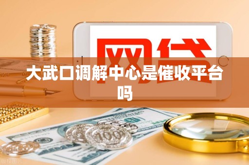 大武口调解中心是催收平台吗