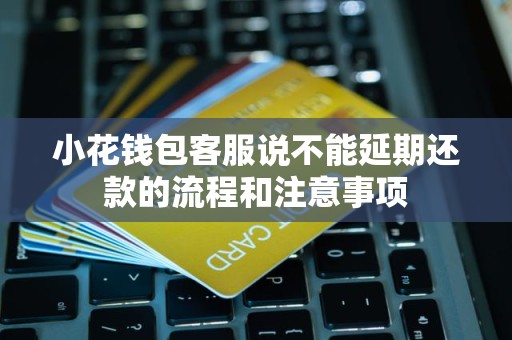 小花钱包客服说不能延期还款的流程和注意事项