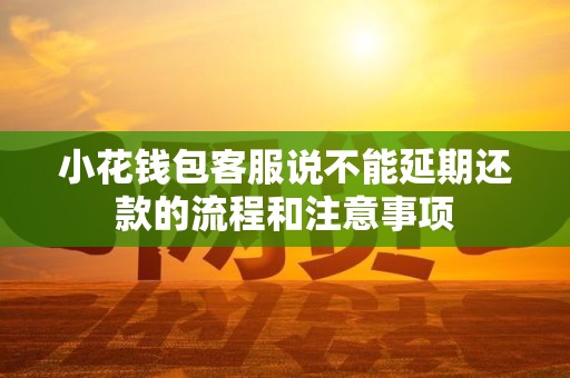 小花钱包客服说不能延期还款的流程和注意事项