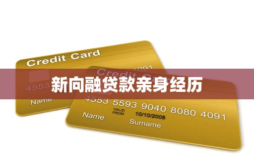 新向融贷款亲身经历