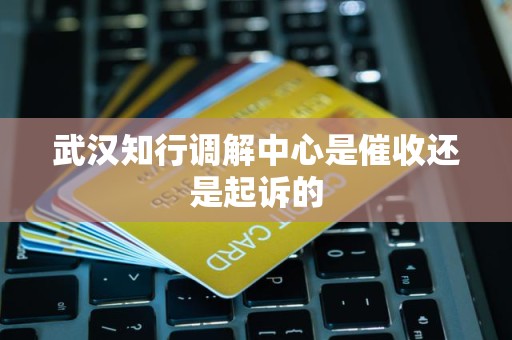 武汉知行调解中心是催收还是起诉的