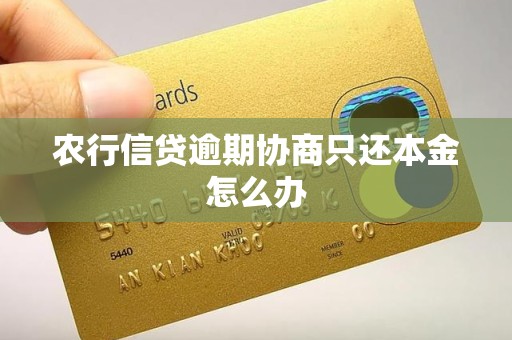 农行信贷逾期协商只还本金怎么办