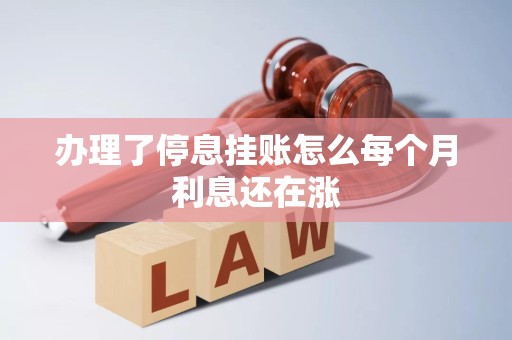 办理了停息挂账怎么每个月利息还在涨