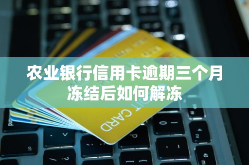 农业银行信用卡逾期三个月冻结后如何解冻