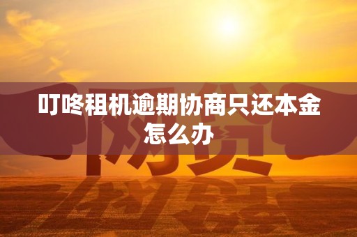 叮咚租机逾期协商只还本金怎么办