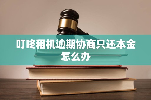 叮咚租机逾期协商只还本金怎么办