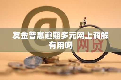 友金普惠逾期多元网上调解有用吗