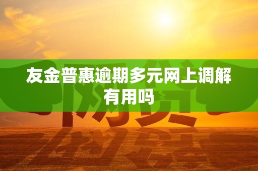 友金普惠逾期多元网上调解有用吗