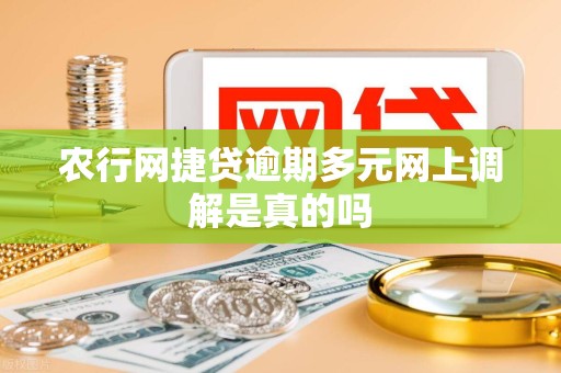 农行网捷贷逾期多元网上调解是真的吗