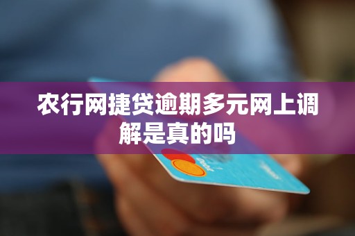 农行网捷贷逾期多元网上调解是真的吗